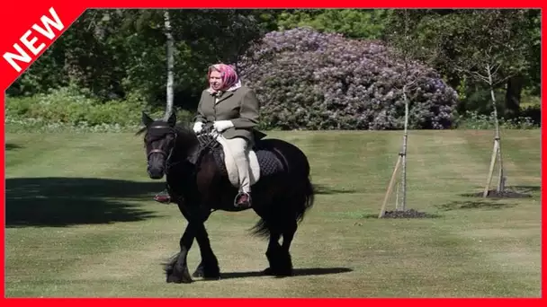 ✅  Coup de tonnerre à Buckingham : la reine prend une décision radicale