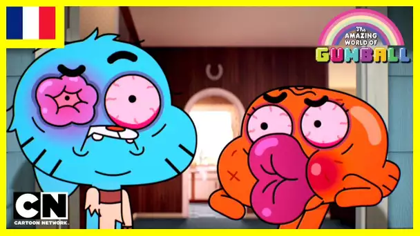 Le Monde Incroyable de Gumball 🇫🇷 | Le Bazar