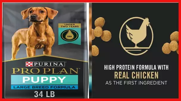 Purina Pro Plan Large Breed Dry Puppy Food, Chicken and Rice Formula - 34 lb. Bag