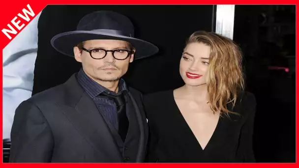 ✅  Amber Heard « aime frapper » : ce jour où Johnny Depp a fini en larmes chez son voisin