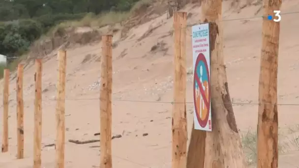 Talmont-Saint Hilaire : la dune du Veillon sous protection