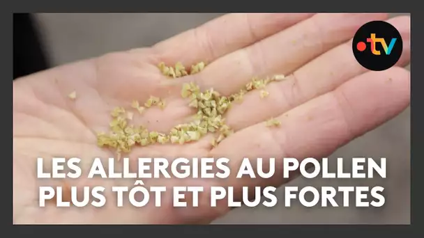 Les allergies au pollen plus tôt et plus fortes