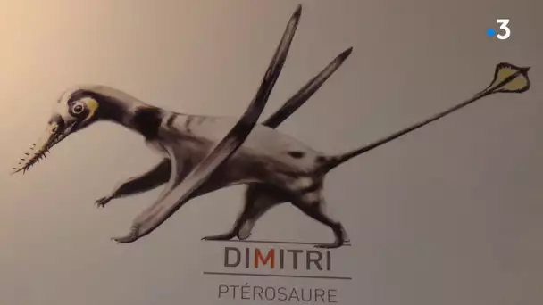 Découverte dans le Lot d'espèces inconnues contemporaines des dinosaures