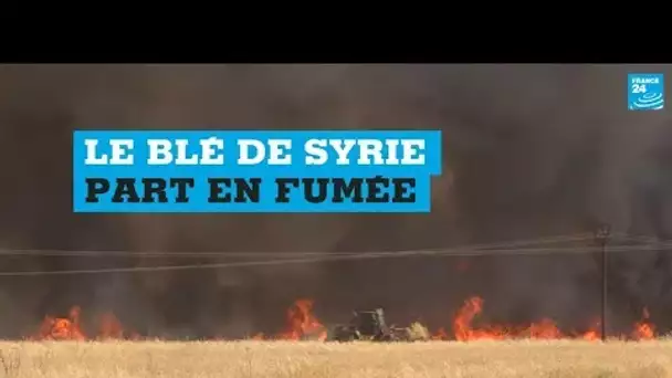 Le blé de Syrie part en fumée