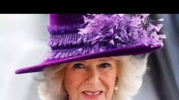 Camilla n'est pas gênée par les titres : « Ça s'en fout un Iota !