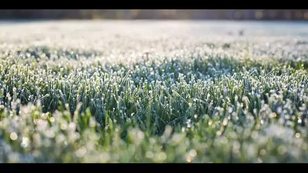 Le temps vendredi : retour des gelées généralisées le matin, soleil sur le Sud-Est