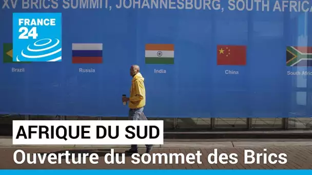 Afrique du Sud : ouverture du sommet des Brics • FRANCE 24