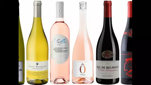 Rosé, blanc, rouge ou même orange... Quels sont les vins de l'été ?