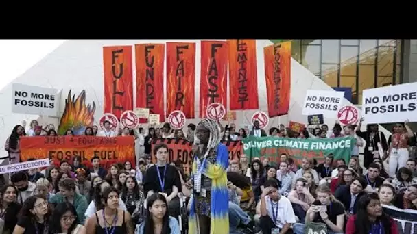 COP28 : près de 200 pays s'accordent sur une "transition hors des énergies fossiles"