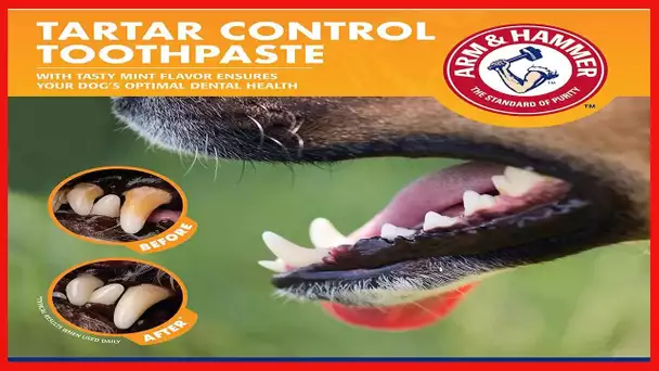 Arm & Hammer for Pets Dog Dental Care Fresh Breath Kit for Dogs | Includes Arm & Hammer Baking Soda