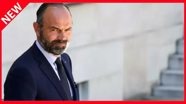 ✅  « Une gueule de dalmatien » : quand Édouard Philippe était chahuté par un proche du président