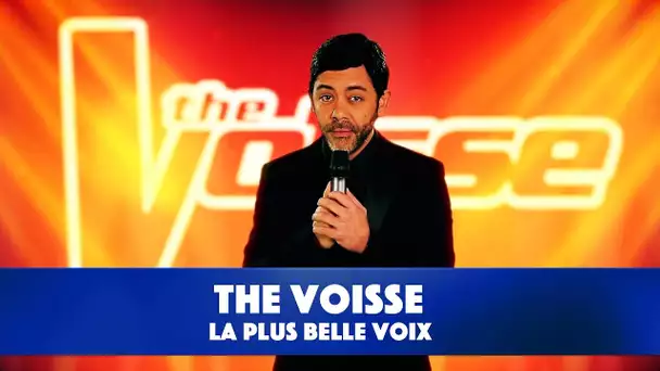 THE VOISSE (parodie) - Ce qu'il fallait détourner