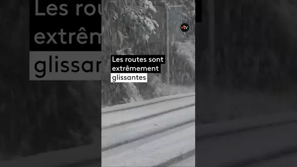 Les premières neiges arrivent en Provence