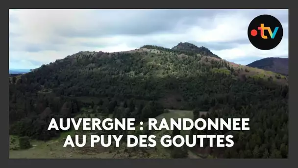 Randonnée : à la découverte du Puy des Gouttes ( Puy-de-Dôme)