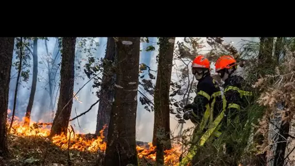 Sécheresse : les pompiers du Morbihan se préparent pour un été à risques