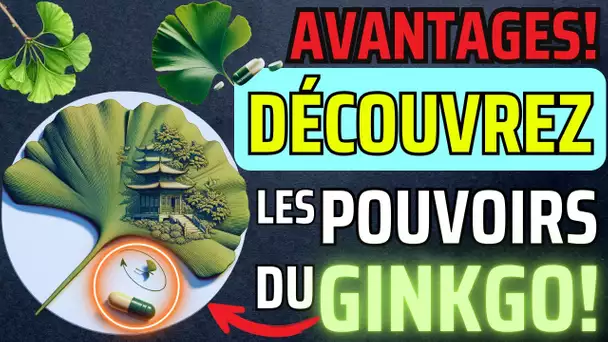 64🌿 Découvrez les Secrets du Ginkgo Biloba : Une Plante Millénaire aux Mille Vertus !