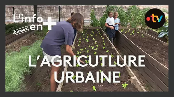 L'info en plus climat : l'agriculture urbaine