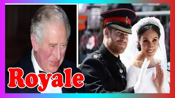 Souhaitez-vous que Meghan et Harry rejoign3nt la famille royale en activité sous le roi Charles ?