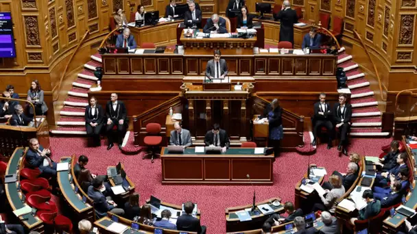 Le Sénat adopte la réforme des retraites avec 193 voix pour, 114 contre