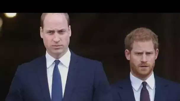 Le prince William "frustré" après que le prince Harry et Meghan aient reçu le rôle "sur lequel il av