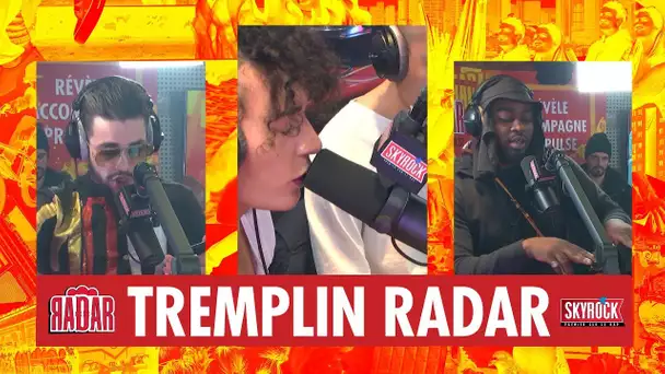 [TREMPLIN RADAR] Quel artiste va percer en 2020 ? 💥💥💥