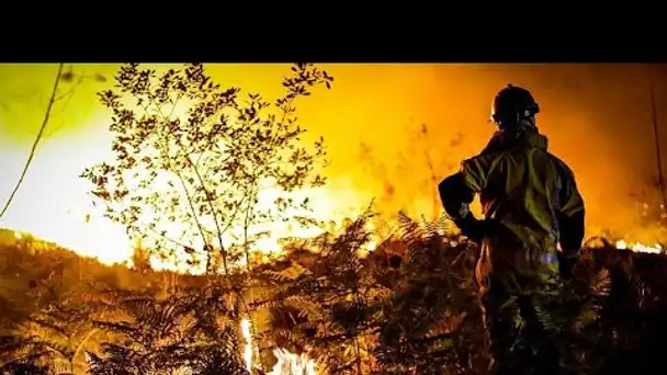 Feux de forêt en Gironde : 19 300 hectares dévastés, 34 000 personnes évacuées en une semaine