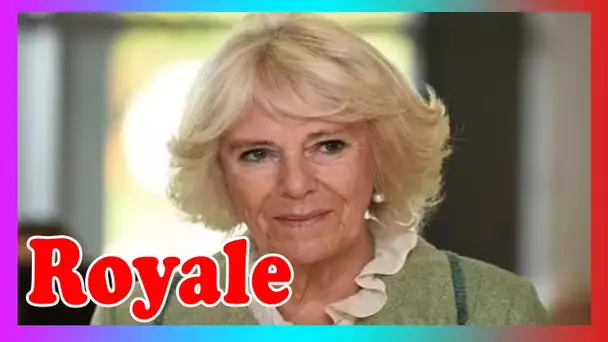 Pourquoi Camilla ne sera p@s reine - bien qu'elle soit une superbe duchesse