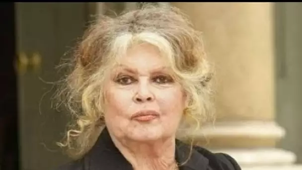 "Le suicide comme porte de sortie" : la terrible réaction de Brigitte Bardot face à...