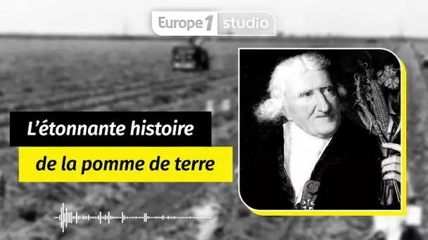 Au coeur de l'histoire - L’étonnante histoire de la pomme de terre, entre miracle et catastrophe