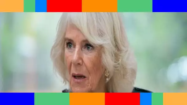 👑  Camilla Parker Bowles : ce cruel surnom donné à Meghan Markle