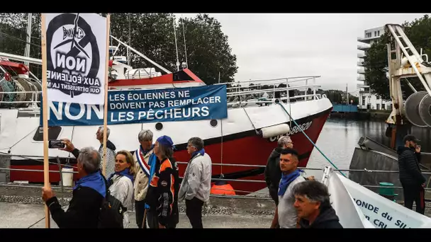 En Normandie, les pêcheurs crient leur colère contre les éoliennes offshore