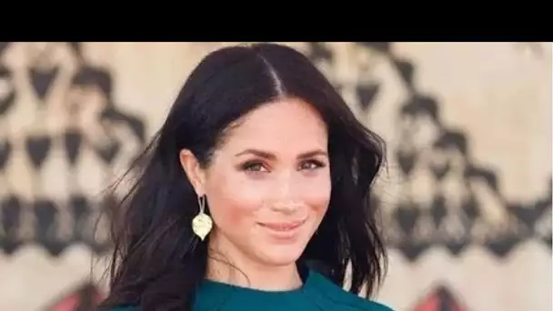 Les fans de Meghan furieux contre le nouveau livre alors qu'ils sautent à sa défense avec une interv