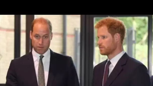 Harry et William brouillés depuis longtemps ? Un correspondant royal fait une triste...