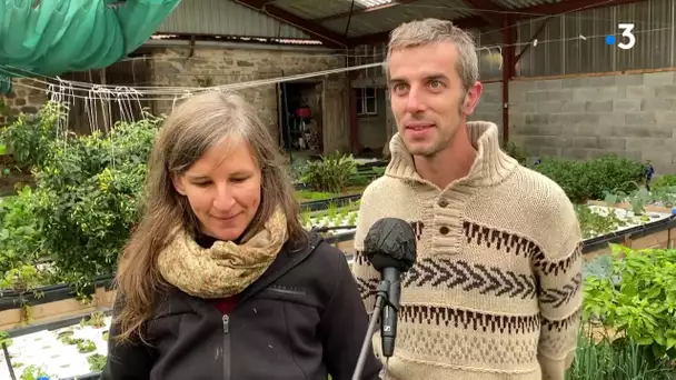 "Pour ma planète" : des maraîchers creusois pratiquent l'aquaponie