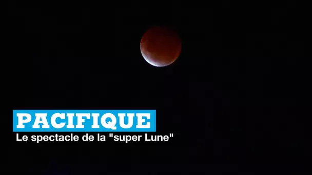 La "super Lune" rouge, un spectacle dans le Pacifique