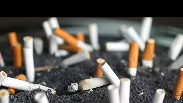 Le tabac, danger pour la santé, mais aussi "poison pour la planète"