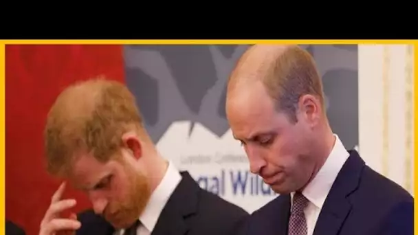 Prince William toujours pas réconcilié avec Harry. Harry souhaite-t-il voler la vedette à son frère