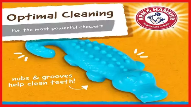 Arm & Hammer for Pets Nubbies Dental Toys - Chew Toy for Dogs, Nubbies Dog Dental Toys