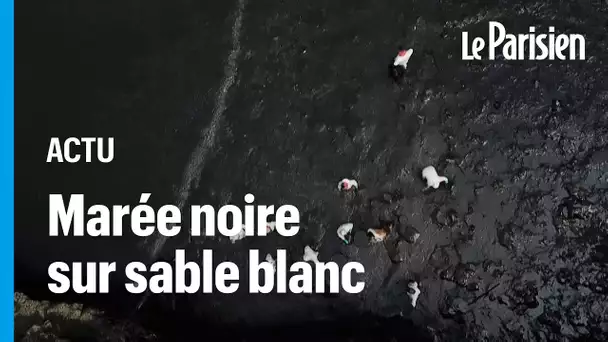 "C'est irréparable": les pêcheurs traditionnels désespérés par la marée noire au Pérou