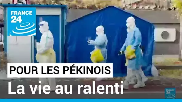 À Pékin, des confinements à n'en plus finir et une vie au ralenti • FRANCE 24