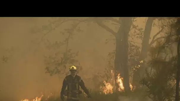 Incendies en Europe : déjà plus de 19 000 hectares de forêt détruits en France