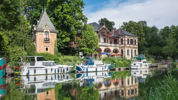 Inflation : en Moselle, les bois d'une forêt communale vendus à prix réduits aux enchères