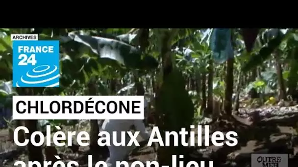 Scandale du chloredécone : colère aux Antilles après le non-lieu rendu par la justice • FRANCE 24