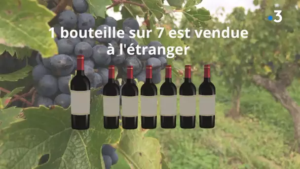La viticulture en Pays de la Loire