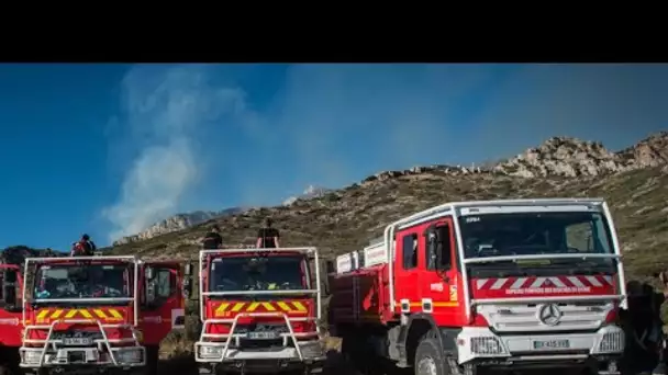 Feux de forêt : les Bouches-du-Rhône en alerte rouge pour mardi, avertit Météo-France