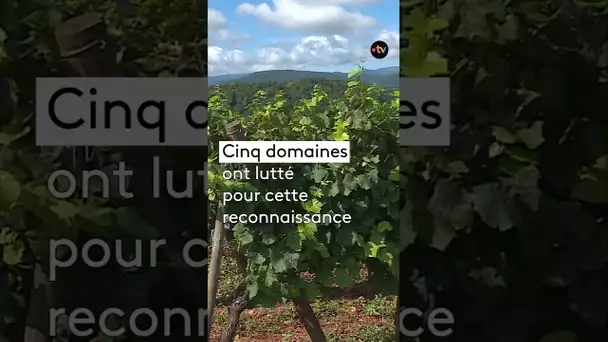 Un 3ᵉ grand cru pour le pinot noir en Alsace