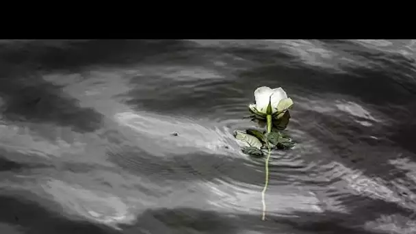 En Serbie, les eaux du Danube s'assombrissent