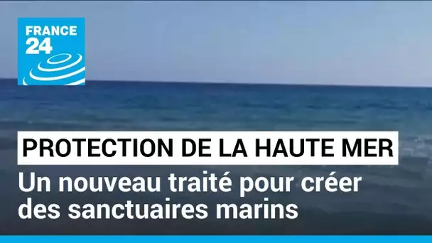 Protection de la haute mer : un traité historique adopté ce lundi 19 juin • FRANCE 24