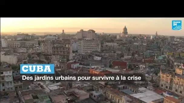 Cuba : des jardins urbains pour survivre à la crise