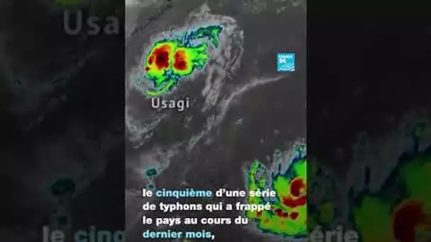 🌪️🇵🇭 Le super #typhon Man-yi s'abat sur l'île la plus peuplée des #Philippines • FRANCE 24